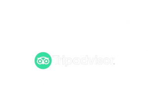 Tripadvisor white